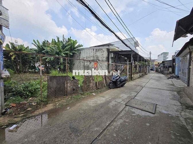 CHÍNH CHỦ BÁN GẤP ĐẤT LÊ ĐÌNH CẨN 296m2 full thổ , sổ hồng sang tên .