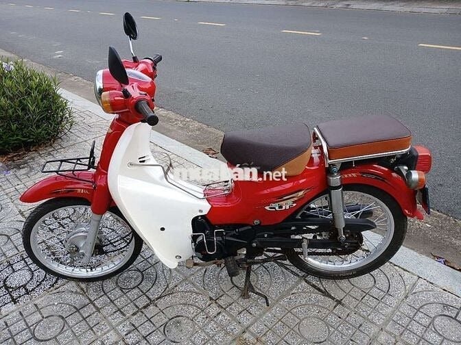 Cúp học sinh 50 cc 2019