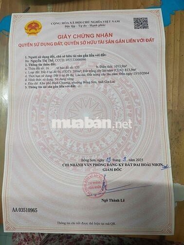 Đất hơn 1000m2 ngay trung tâm cầu Bồng Sơn