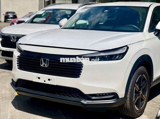 Giá xịn nhất thị trường, đủ màu giao ngay!