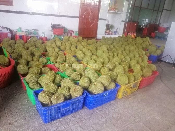 Bán nhà xưởng có 5 kho lạnh lớn sức chứa 400 tấn