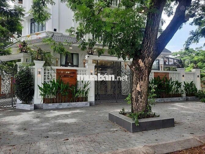 Bán nhà Vũ Phạm Hàm, Yên Hòa, Cầu Giấy, VỊ TRÍ ĐẮC ĐỊA, nhà đẹp bề thế