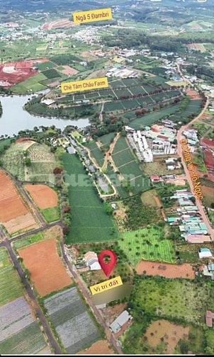✅Lô đất 500m2 ngay Tâm Châu Farm , Bảo lộc , Lâm Đồng 