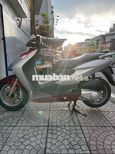 dylan 2005 bs29 giấy tờ đầy đủ