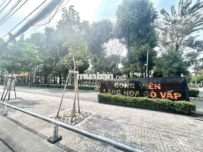 Chủ gấp bán CHDV doanh thu cao