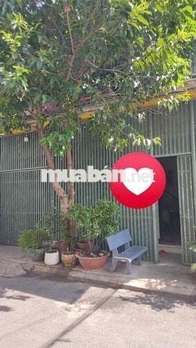 NHÀ 2 MT LÔ GÓC ĐS 21 P8 CHƯA QUA KD