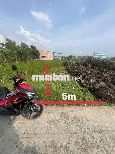 150m2 thổ cư , gần Khu công nghiệp và Trung tâm thương mại Lạc Tấn