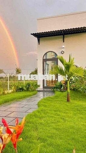 🔴 (NCC) CHO THUÊ NHÀ VƯỜN HIỆN ĐẠI, NỘI THẤT SANG TRỌNG - KHU NAM HOÀ