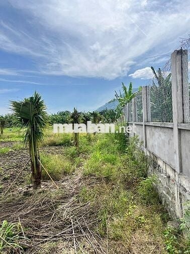 CẦN BÁN 3 LÔ ĐẤT  TẠI xã hàm minh, huyện Hàm Thuận Nam,tỉnh Bình Thuận