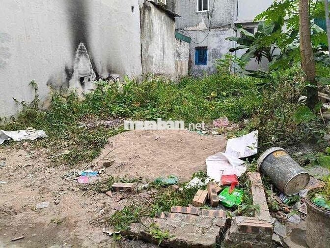 🏡 BÁN ĐẤT PHÚC LỢI– ĐẦU TƯ SINH LỜI CAO – SỔ ĐỎ SẴN SÀNG GIAO DỊCH