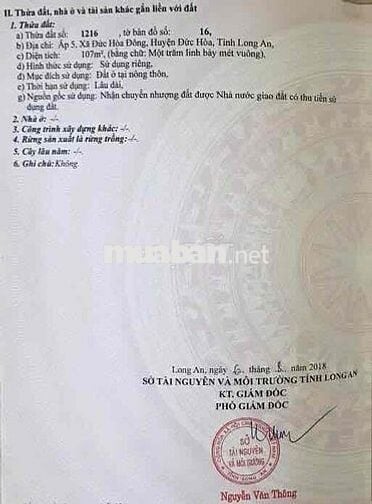 ĐẤT THỔ CƯ SỔ ĐỎ 250m2 ĐỨC HOÀ ĐÔNG - LONG AN