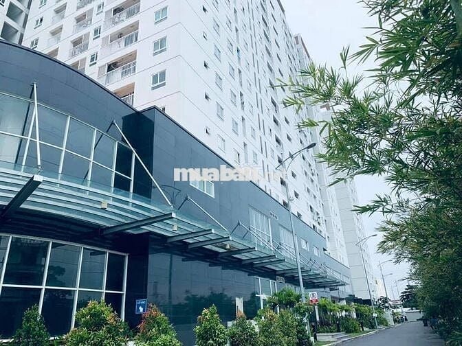 CẬP NHẬT CĂN HỘ TARA CHO THUÊ ĐẦU THÁNG 11 - Full nội thất/ Nhà trống