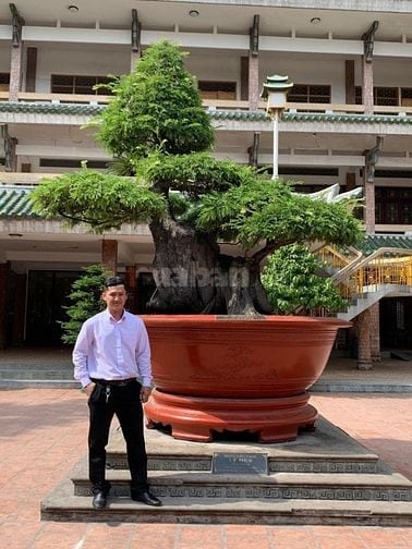 Tìm việc làm tài xế khu vực cần thơ 