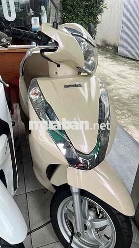 xe đẹp giá bình dân máy êm chạy lướt