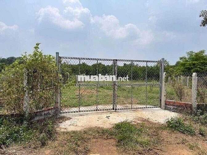 1MẪU9 ĐẤT XUÂN THỌ VIEW NÚI CHỨA CHAN