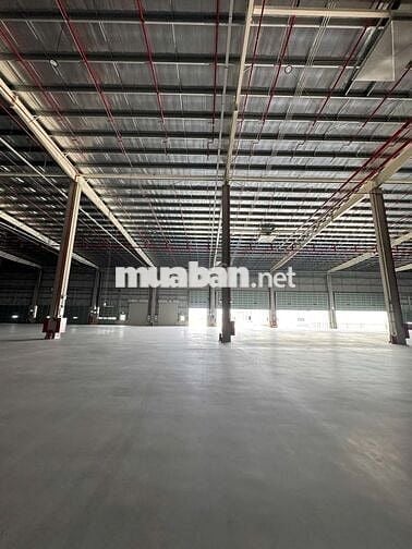 CHO THUÊ KHO HÀNG LOGISTICS  KHO NGOẠI QUAN 60.000m² KCN Hải Sơn