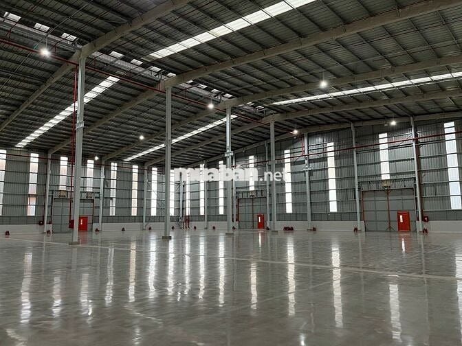 CHO THUÊ KHO, XƯỞNG LỚN TỪ 2.500M² – 8.000M² TRONG KCN, GIÁ TỪ 50.000K