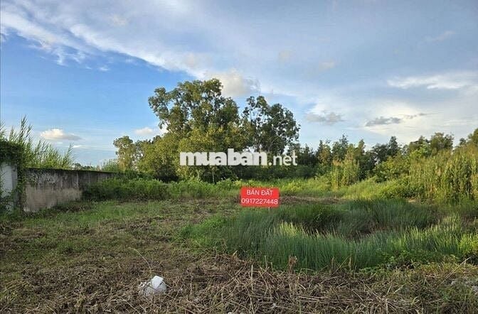 Cần bán đất quản lộ phụng hiệp