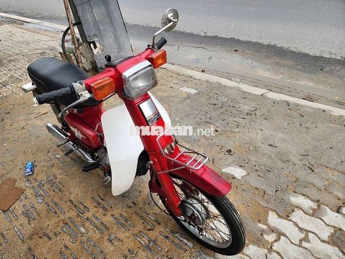 Cub Dd Honda máy êm ru,bstp cavet đủ🥰🥰