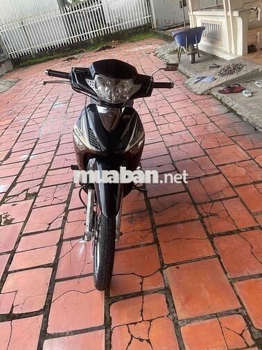 xe future fi 2009 zin