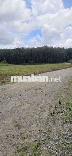 Chính chủ cần bán gấp lô đất thổ cư , đã có sổ , pháp lý rõ ràng