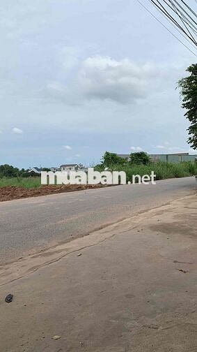 ĐẤT XÂY TRỌ MẶT TIỀN ĐƯỜNG ĐT747C