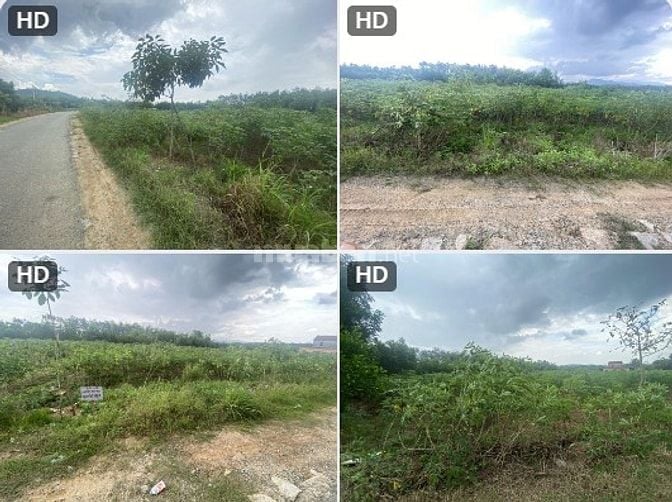 Bán đất tại xã Tân Minh và xã Suối Kiết, tỉnh Lâm Đồng 