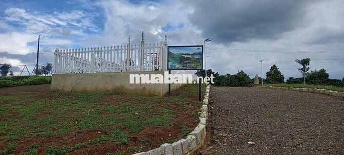 THANH LÝ GẤP LÔ ĐẤT GIA ĐÌNH TẠI DI LINH, MT QUỐC LỘ 20 DT 300M2/639TR