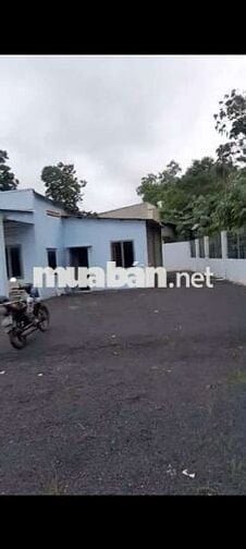 Cho thuê nhà vườn xuân thới sơn 420m2