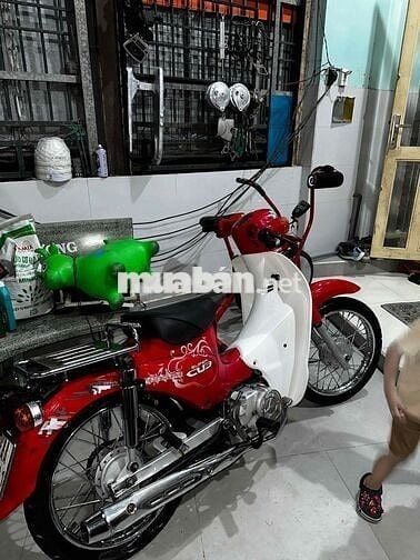 bán cub 50cc