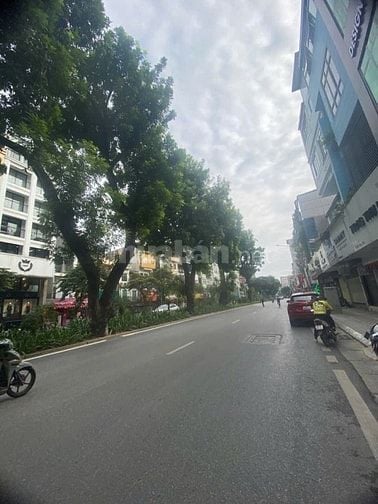 Bán nhà 7 tầng THANG MÁY phố Kim Mã, Quận Ba Đình, MB 40m2