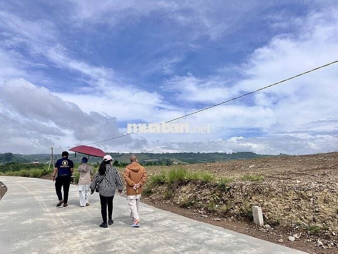 hot 1000m² đất nghỉ dưỡng ven Đà Lạt View đồi , giá chỉ 630 triệu