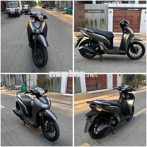 Shmode-Abs 125 - Nâu [Gold] 2025