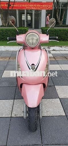 Elydabet fi 2013.May uem ru.xe cay tot