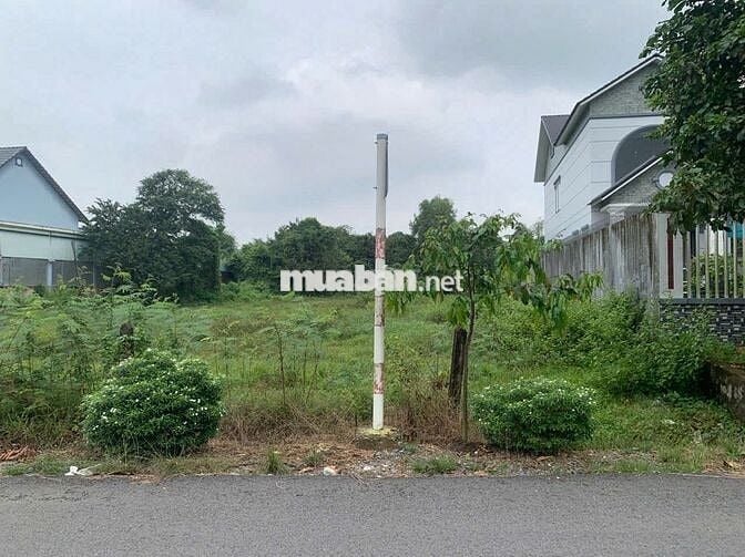 CẦN RA GẤP LÔ ĐẤT THỔ 146m2 XÃ TÂN PHÚ TRUNG - CỦ CHI