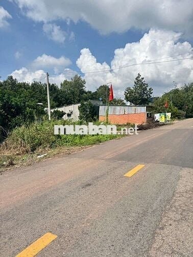 Bán xưởng kinh doanh ngay mặt tiền đường huyện 549m2/750tr có 200 TC