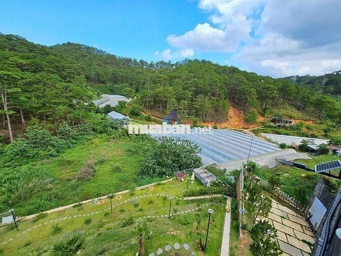 Bán Đất Thổ Cư View Xanh Diện tích 251 m2 Phường 10 _Giá chỉ 7.9 Tỷ