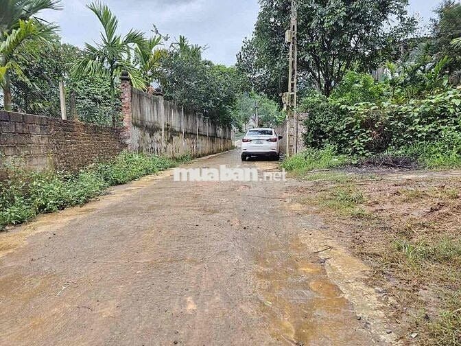 Đất sổ đỏ chính chủ yên xuân thạch Thất