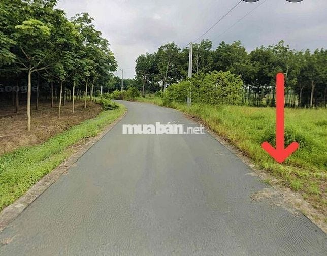 Chính chủ bán lỗ trả nợ bank DT1045m2 14.5x70 ngay TT Chơn Thành