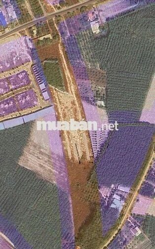 CẮT LỖ - CHÍNH CHỦ BÁN GẤP 3 LÔ ĐẤT PHƯỜNG MINH HƯNG - ĐỒNG NAI ( Bình