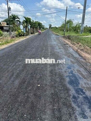 đất chính chủ cần bán, Huyện Tân Phú Đông Tiền Giang