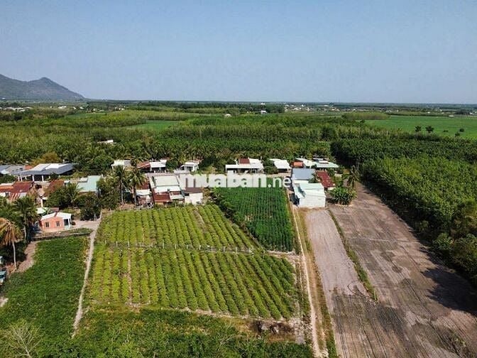 1724m2 đường nhựa, trung tâm Dương Minh Châu. 1,7 tỷ