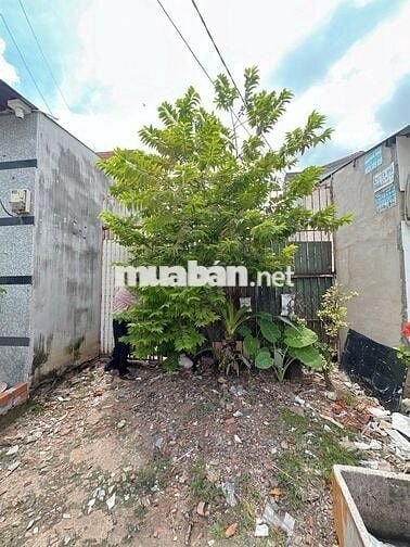 ĐẤT HXH 8M NHỰA, HƯƠNG LỘ 3, TÂN PHÚ, 112,6 M2, GIÁ TRÒN 3 TỶ