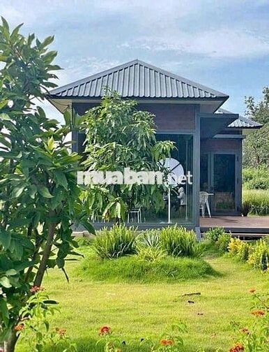 Bán đất thổ vườn mặt tiền DH, Cách UB Phước Thành chưa tới 1km.