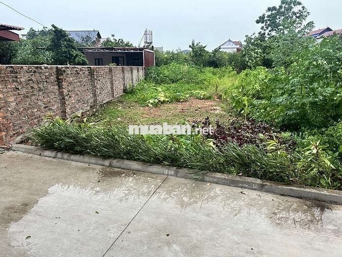 DIỆN TÍCH ĐẸP - PHÂN LÔ - Ô TÔ VÀO TẬN ĐẤT - VỊ TRÍ VÀNG - FULL THỔ CƯ