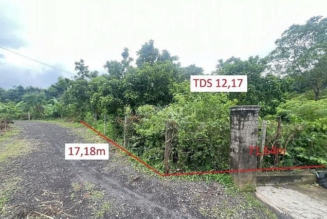 Công ty Đấu giá hợp danh Lam Sơn Sài Gòn THÔNG BÁO ĐẤU GIÁ TÀI SẢN