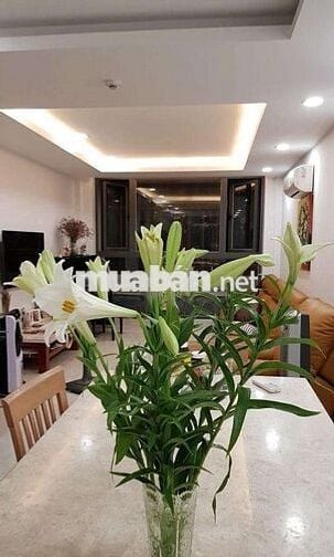 CHO THUÊ NHÀ NGUYÊN CĂN MẶT TIỀN ĐƯỜNG SỐ 92 NGUYỄN PHI KHANH Q1