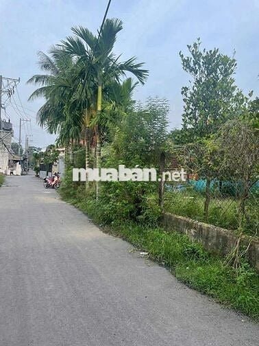 Đất đầu tư, Thủ Đức, chỉ hơn 6 tỷ. Gần ub phường, chợ đầu mối Thủ Đức