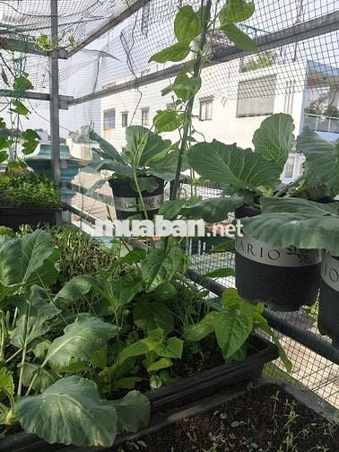 Cho thuê phòng trọ giá rẻ ngay kcn sóng thần,dĩ An