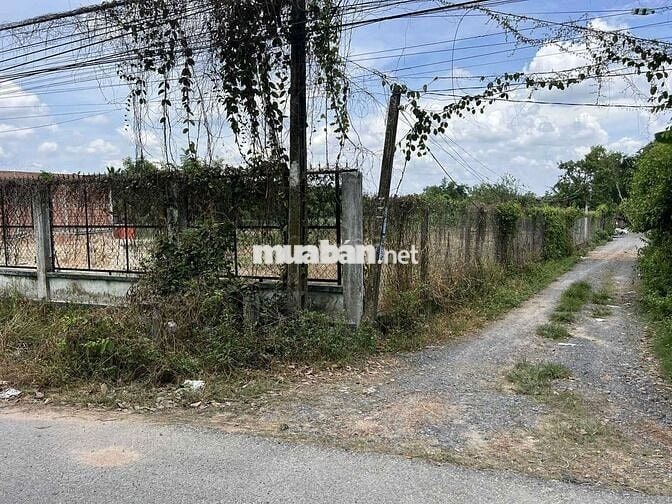 Bán đất khu vực thị xã Trảng Bàng, cua ngân hàng 2800m2